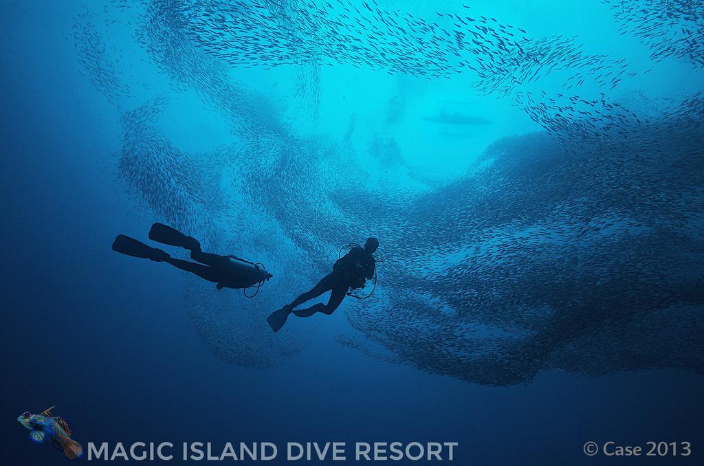 Magic Island Dive Resort Moalboal Exterior photo